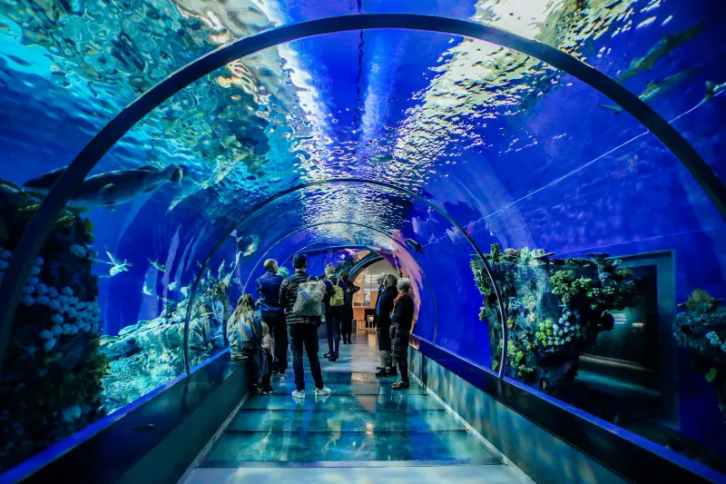 Visitors walking through a glass aquarium tunnel surrounded by fish