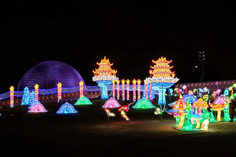 Colourful illuminated lantern sculptures at night