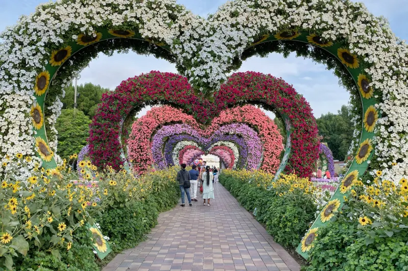 Heart-shaped flower arches along a path at Dubai Miracle Garden