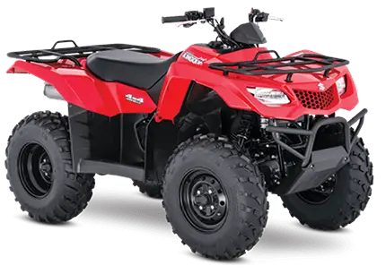book-your-buggy-adventure-now