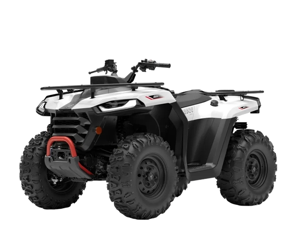 buggy rental dubai book adventure